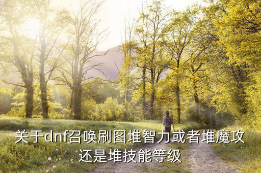 关于dnf召唤刷图堆智力或者堆魔攻还是堆技能等级