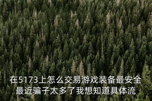 在5173上怎么交易游戏装备最安全最近骗子太多了我想知道具体流