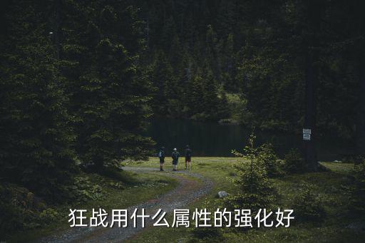 狂战用什么属性的强化好