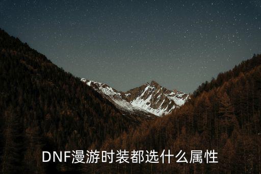 DNF漫游时装都选什么属性