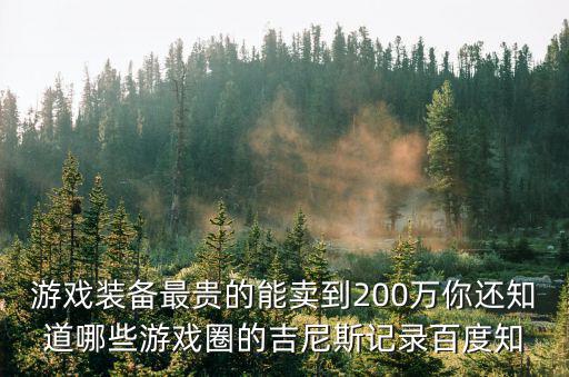 游戏装备最贵的能卖到200万你还知道哪些游戏圈的吉尼斯记录百度知