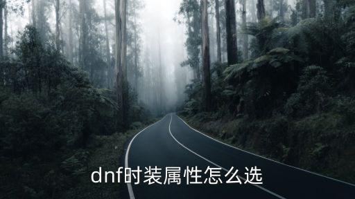 dnf时装属性怎么选