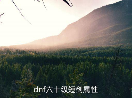 dnf短宗什么属性最好，dnf六十级短剑属性