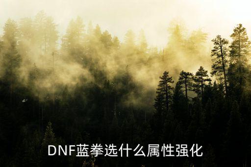 DNF蓝拳选什么属性强化