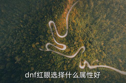 dnf红眼选择什么属性好