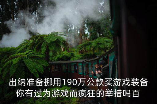 出纳准备挪用190万公款买游戏装备你有过为游戏而疯狂的举措吗百