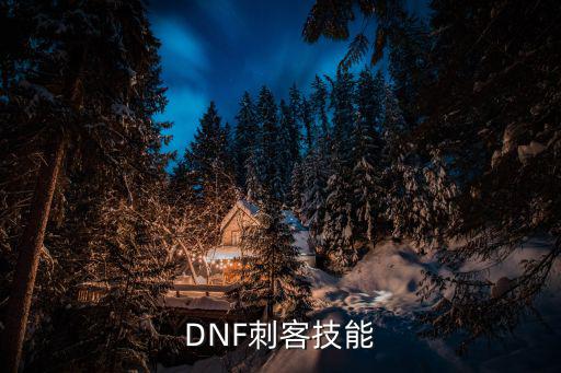 dnf刺客技能是什么属性，dnf刺客都需要什么属性