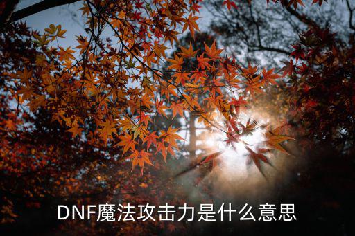 DNF魔法攻击力是什么意思