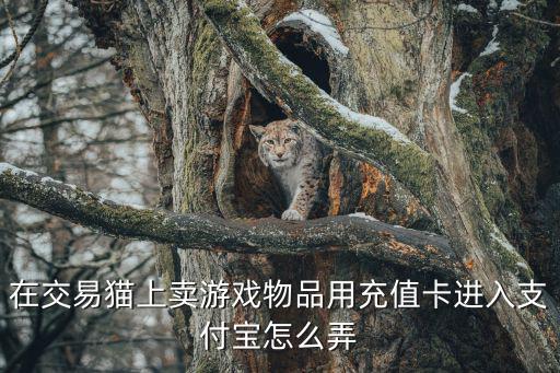 在交易猫上卖游戏物品用充值卡进入支付宝怎么弄