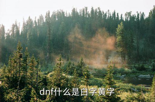 dnf什么是白字黄字