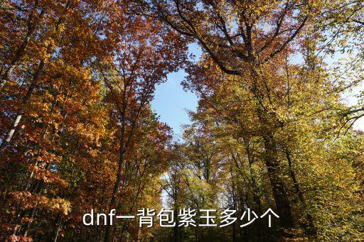 dnf一背包紫玉多少个