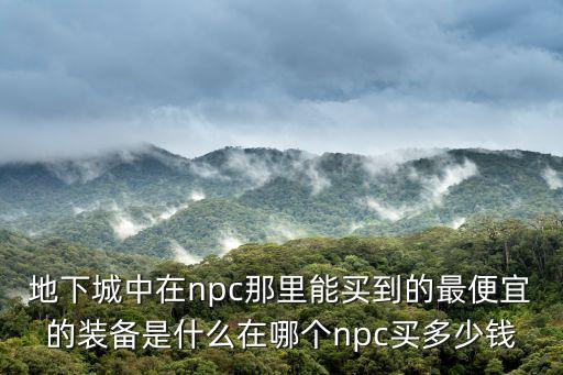 地下城中在npc那里能买到的最便宜的装备是什么在哪个npc买多少钱