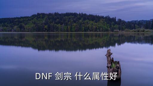 DNF 剑宗 什么属性好