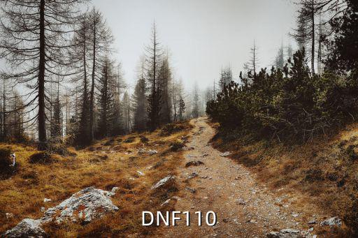 dnf110走什么属性，DNF 下个版本 走什么属性好