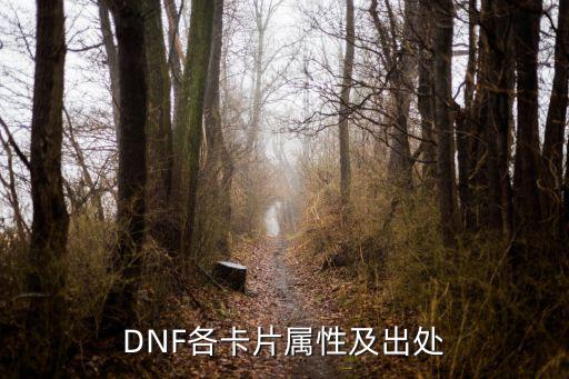 DNF各卡片属性及出处