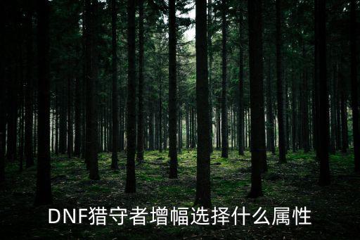 DNF猎守者增幅选择什么属性