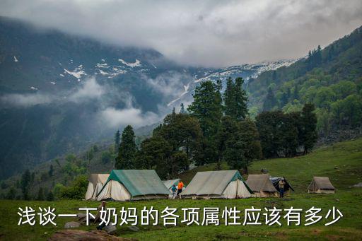 浅谈一下奶妈的各项属性应该有多少