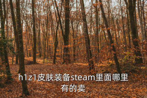 h1z1皮肤装备steam里面哪里有的卖