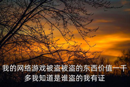 我的网络游戏被盗被盗的东西价值一千多我知道是谁盗的我有证