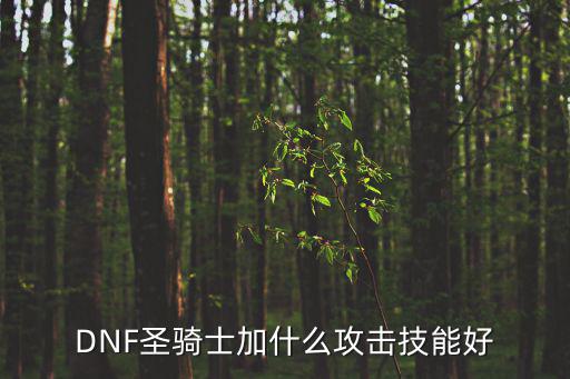 DNF圣骑士加什么攻击技能好