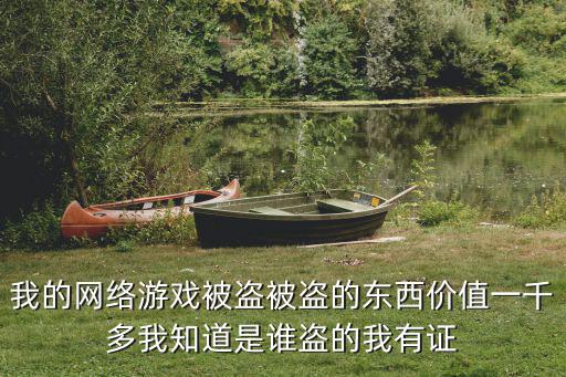 我的网络游戏被盗被盗的东西价值一千多我知道是谁盗的我有证