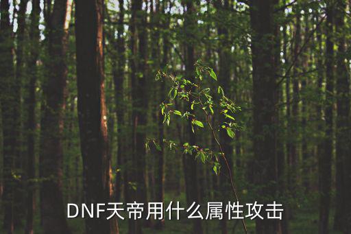 DNF天帝用什么属性攻击