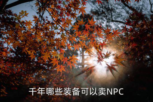 千年哪些装备可以卖NPC