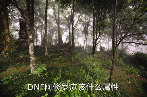 dnf瞎子要加什么属性，DNF瞎子堆什么属性强化