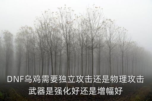 dnf乌鸡堆什么属性，DNF乌鸡需要独立攻击还是物理攻击武器是强化好还是增幅好