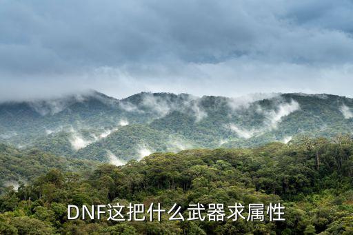 DNF这把什么武器求属性