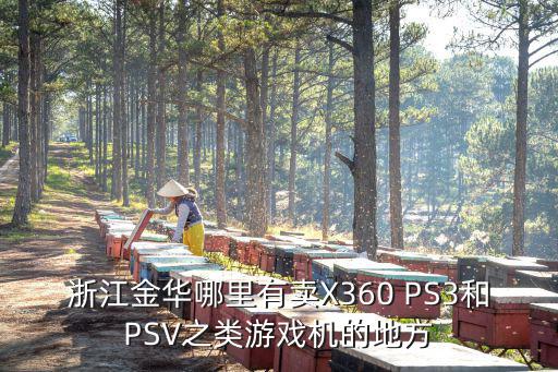 浙江金华哪里有卖X360 PS3和PSV之类游戏机的地方