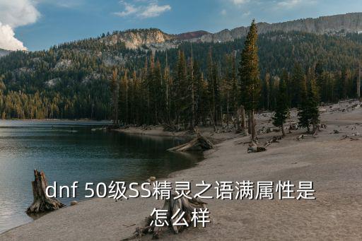 dnf 50级SS精灵之语满属性是怎么样