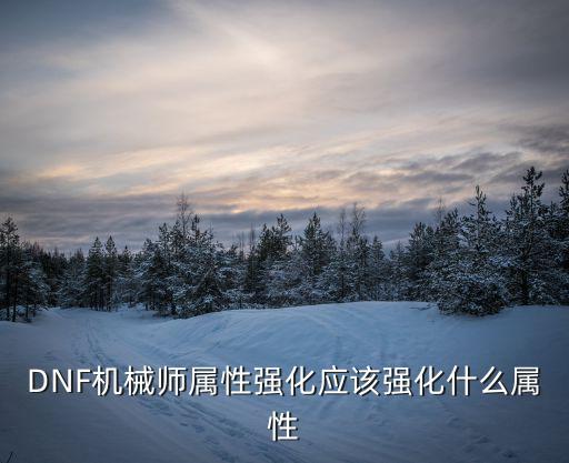 DNF机械师属性强化应该强化什么属性