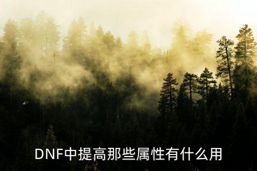 DNF中提高那些属性有什么用