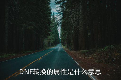 DNF转换的属性是什么意思