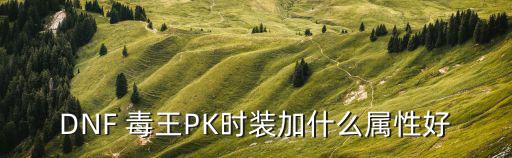 DNF 毒王PK时装加什么属性好