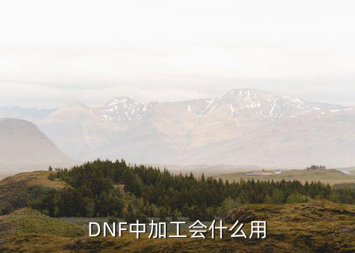 DNF中加工会什么用