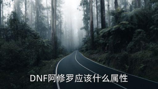 DNF阿修罗应该什么属性