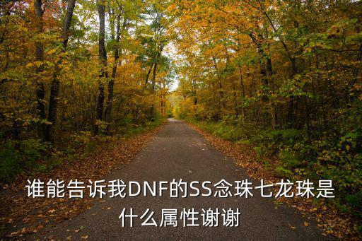 谁能告诉我DNF的SS念珠七龙珠是什么属性谢谢