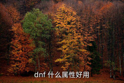 dnf 什么属性好用