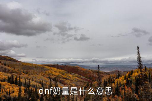 dnf奶量是什么意思