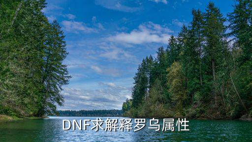 DNF求解释罗乌属性