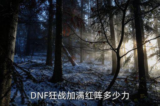 DNF狂战加满红阵多少力