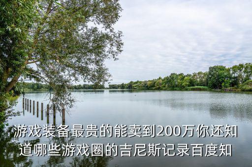 游戏装备最贵的能卖到200万你还知道哪些游戏圈的吉尼斯记录百度知