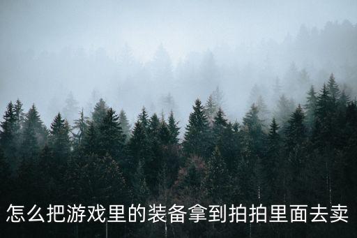 怎么把游戏里的装备拿到拍拍里面去卖