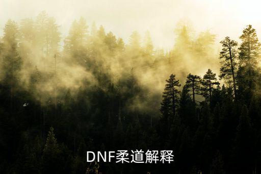 dnf柔道是什么属性攻击，DNF柔道解释