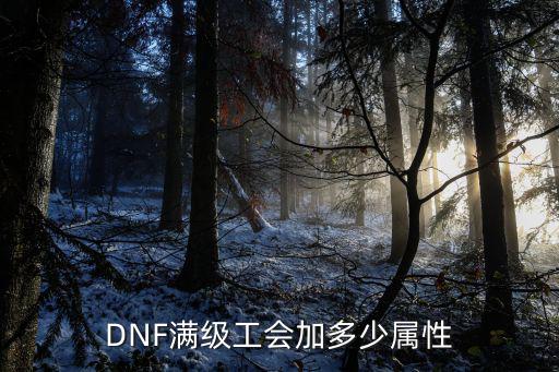 DNF满级工会加多少属性