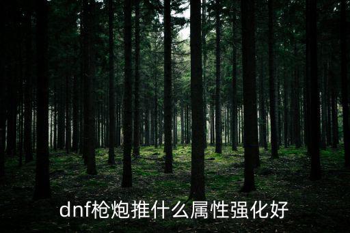 dnf枪炮推什么属性强化好