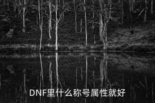 DNF里什么称号属性就好