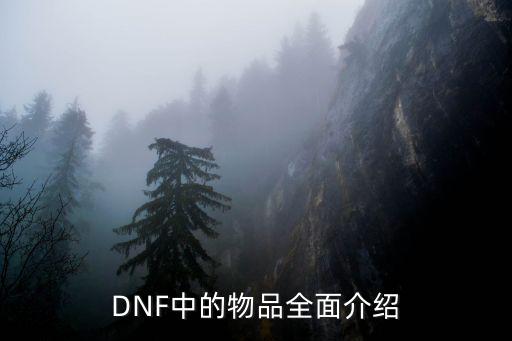 DNF中的物品全面介绍